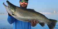 Man holding Brown Trout
