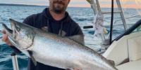 King Salmon
